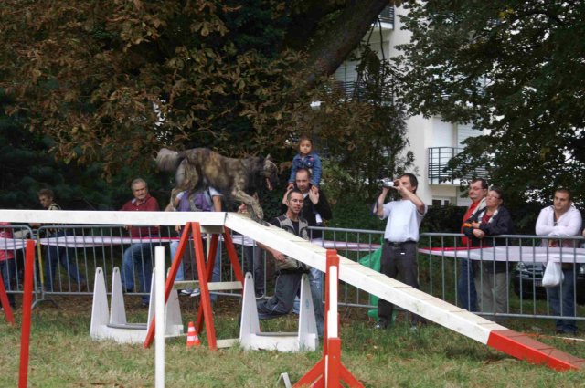 foire-haricots 2011-09-17et18